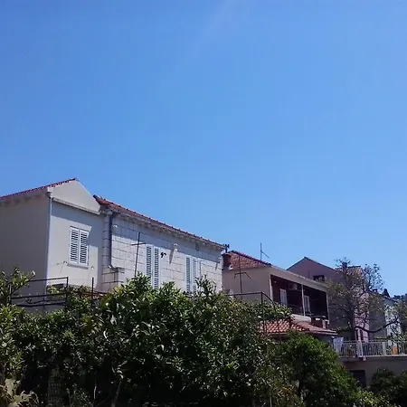 Ljilja Dubrovnik